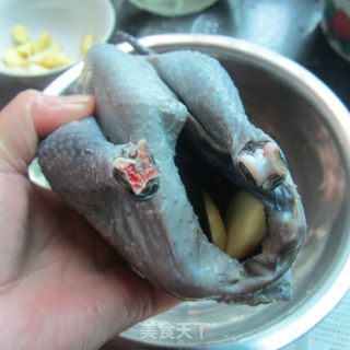 猪肚鸡---辅乳期汤煲的做法步骤：4