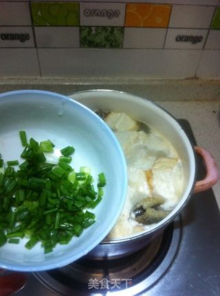 豆腐泥鳅汤的做法步骤：7
