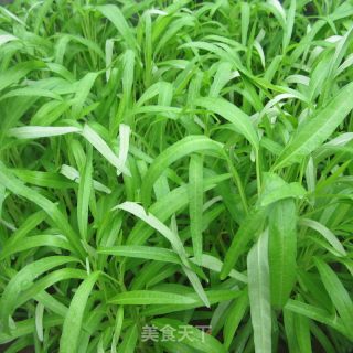 空心菜炒粉的做法步骤：1