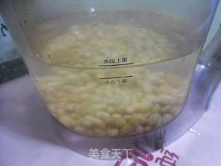 核桃豆浆的做法步骤：4