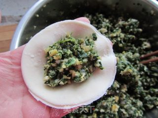 荠菜笋尖猪肉饺的做法步骤：11