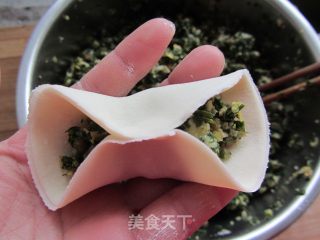 荠菜笋尖猪肉饺的做法步骤：12