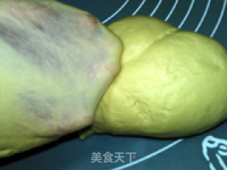 糖蜜核桃土司的做法步骤：5