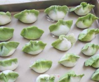 百财（白菜）水饺的做法步骤：11