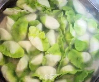 百财（白菜）水饺的做法步骤：12
