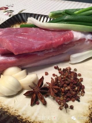 无肉不欢----高高奉上的红烧肉的做法步骤：1