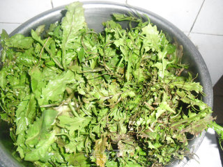 荠菜春卷的做法步骤：1