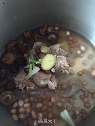 花生香菇羊肉汤的做法步骤：6