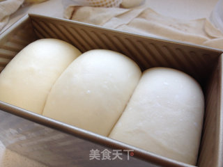 100%中种北海道吐司的做法步骤：11