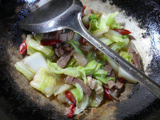 羊肉炒白菜的做法步骤：11