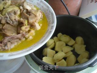 鸡肉烩土豆的做法步骤：4