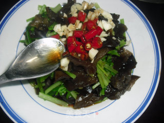 芹菜拌黑木耳的做法步骤：7