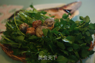 西洋菜陈肾生鱼汤的做法步骤：1
