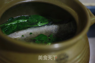 西洋菜陈肾生鱼汤的做法步骤：5