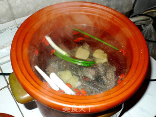 砂煲甲鱼汤的做法步骤：7