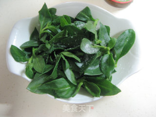 凉拌穿心莲的做法步骤：5