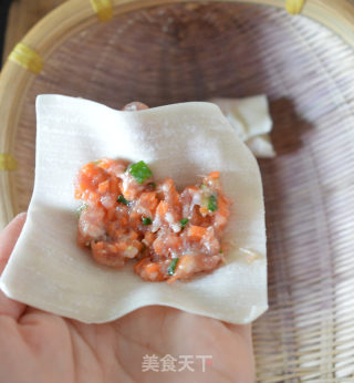 香煎云吞的做法步骤：5