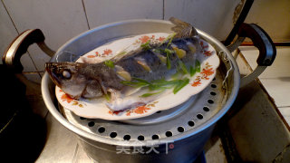 葱油鲈鱼的做法步骤：9