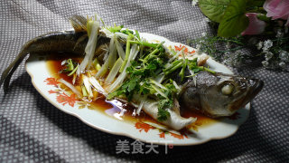 葱油鲈鱼的做法步骤：16