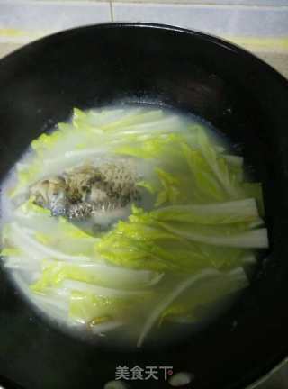 白菜鲫鱼汤的做法步骤：5