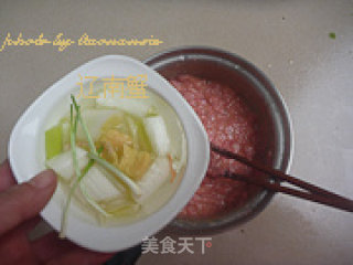 墨鱼烩肉丸的做法步骤：11