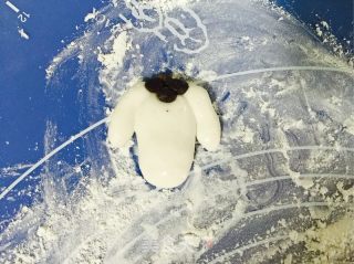 羊咩咩汤圆的做法步骤：7