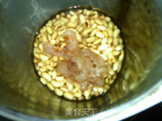龙眼豆浆的做法步骤：5