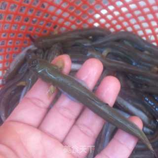 荞菜烧海狗的做法步骤：2