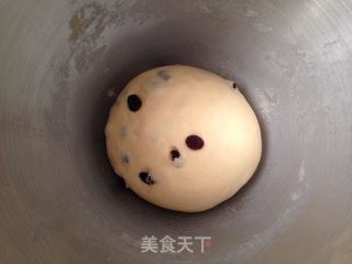 葡萄干吐司(厨师机版)的做法步骤：6