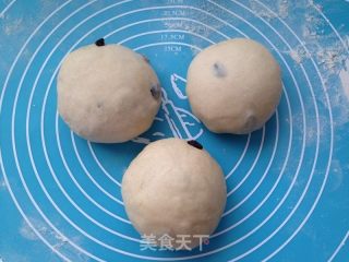 葡萄干吐司(厨师机版)的做法步骤：8
