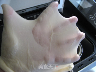 原味吐司（直接发酵法）的做法步骤：3