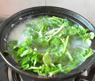 腊瘦肉西洋菜粥的做法步骤：4