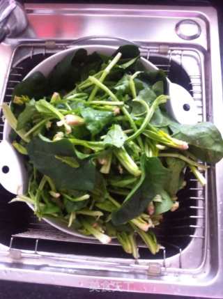 蒜泥麻酱菠菜塔的做法步骤：1