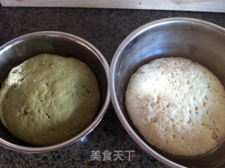 抹茶双色馒头卷的做法步骤：2