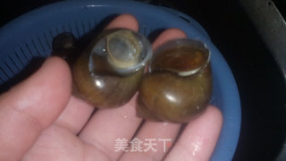 舌尖上的田螺———香辣田螺煲的做法步骤：14