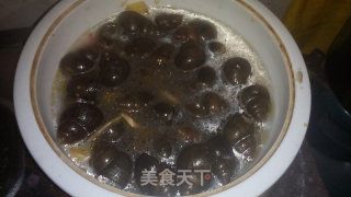 舌尖上的田螺———香辣田螺煲的做法步骤：20