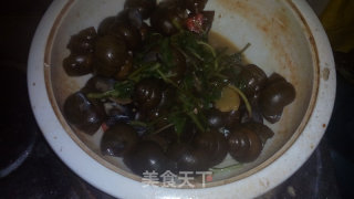 舌尖上的田螺———香辣田螺煲的做法步骤：24