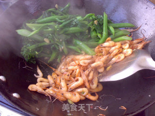 芥兰爆河虾的做法步骤：7
