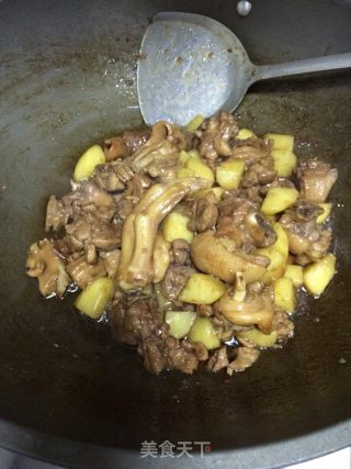 土豆焖鸭的做法步骤：9