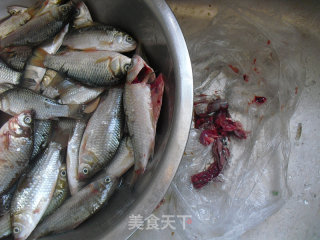 干炸小鱼的做法步骤：2