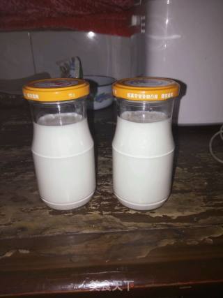 自制酸奶的做法步骤：3