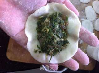 荠菜肉馅蒸饺的做法步骤：7