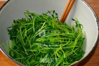 凉调豌豆苗的做法步骤：7