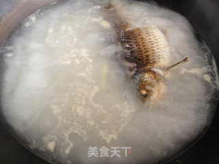 奶白萝卜丝鲫鱼汤的做法步骤：6