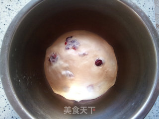 蔓越莓大吐司的做法步骤：5