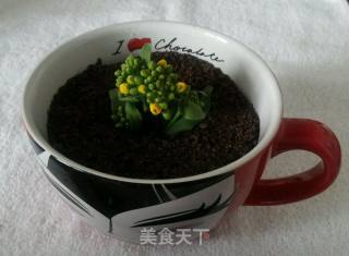 盆栽酸奶的做法步骤：8