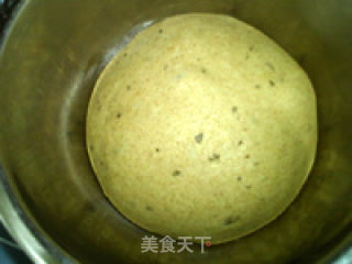 罗勒面包的做法步骤：9