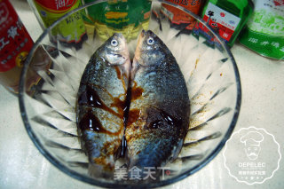 电烤箱食谱之烤鲫鱼的做法步骤：2