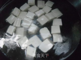 豉味肉末豆腐的做法步骤：5