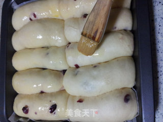 蔓越莓奶香小排包的做法步骤：13